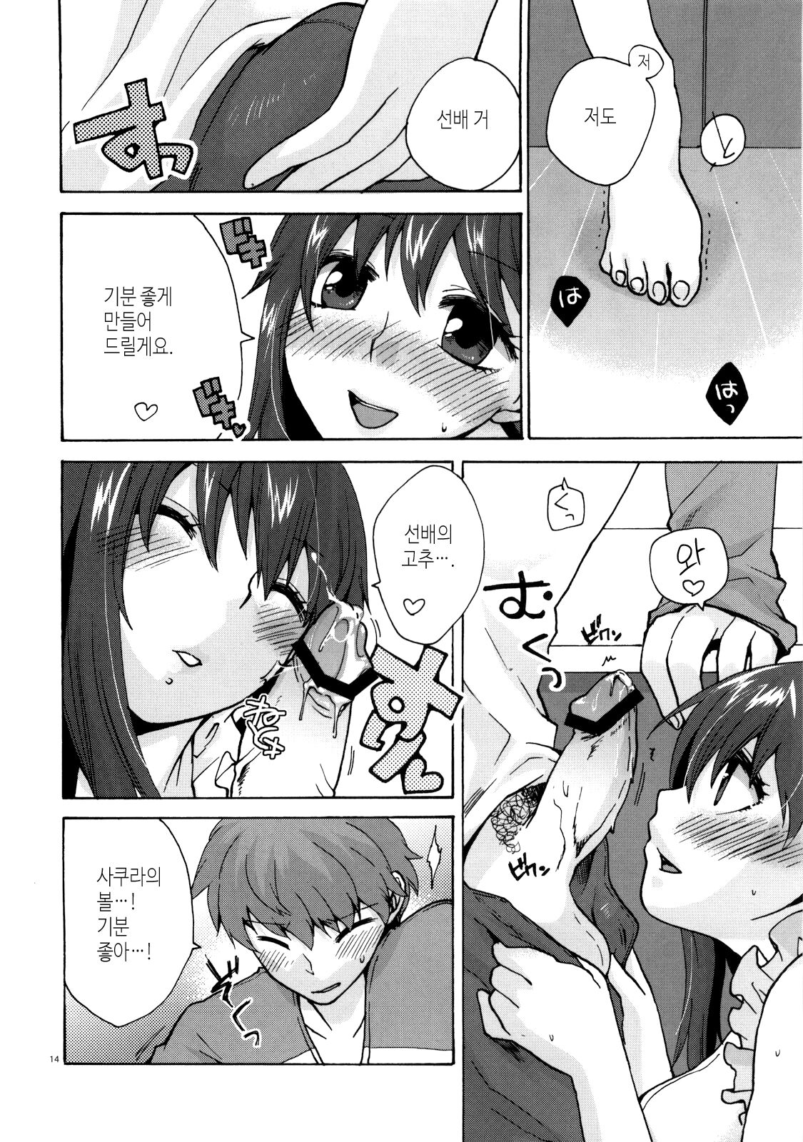 (COMIC1☆4) [TRIP SPIDER (niwacho)] Naisho no Omamagoto | 비밀 소꿉놀이 (Fate/Hollow Ataraxia) [Korean] [이거맛좀봐] image number 13