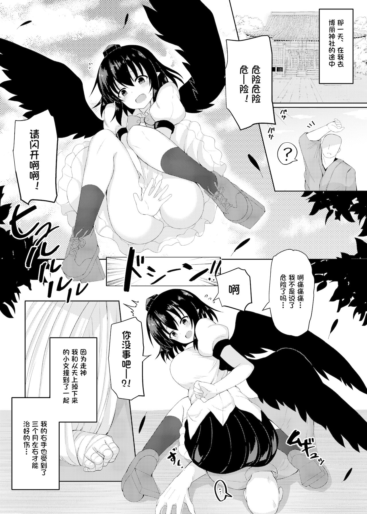 [Tomikadou (tksand)] Ecchi na Tengu no Otetsudai-san (Touhou Project) [Chinese] [一只麻利的鸽子汉化] [Digital] image number 5