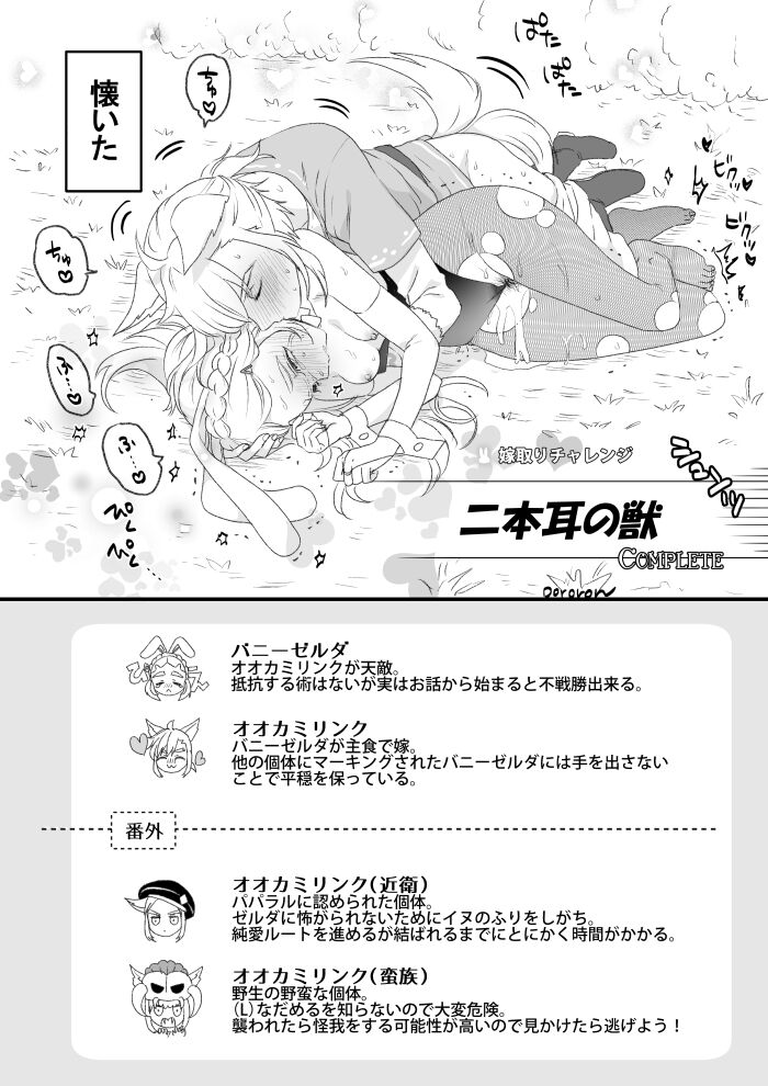 [Doro ron]🔞 Rinzeru log 4 (The Legend of Zelda) image number 10