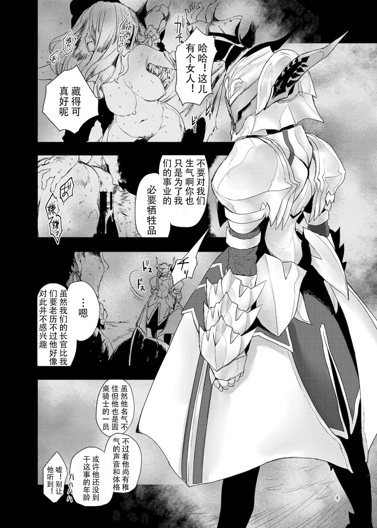 [Peθ (Mozu)] Honeys (Fate/Grand Order) [Chinese] [自宅用汉化] [Digital] 画像番号 5