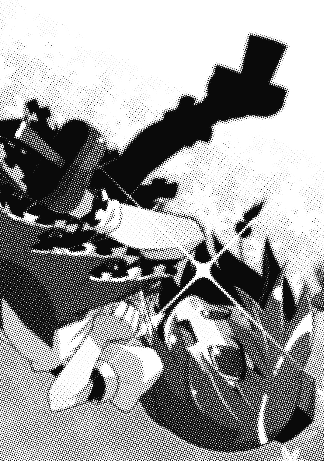 (Reitaisai 5) [Akaneya Gu-Tara Ten (Akaneya)] Ura Doori no Tengu-tachi | Backstreet Tengu (Touhou Project) [Spanish] [Touhou Colors] image number 3