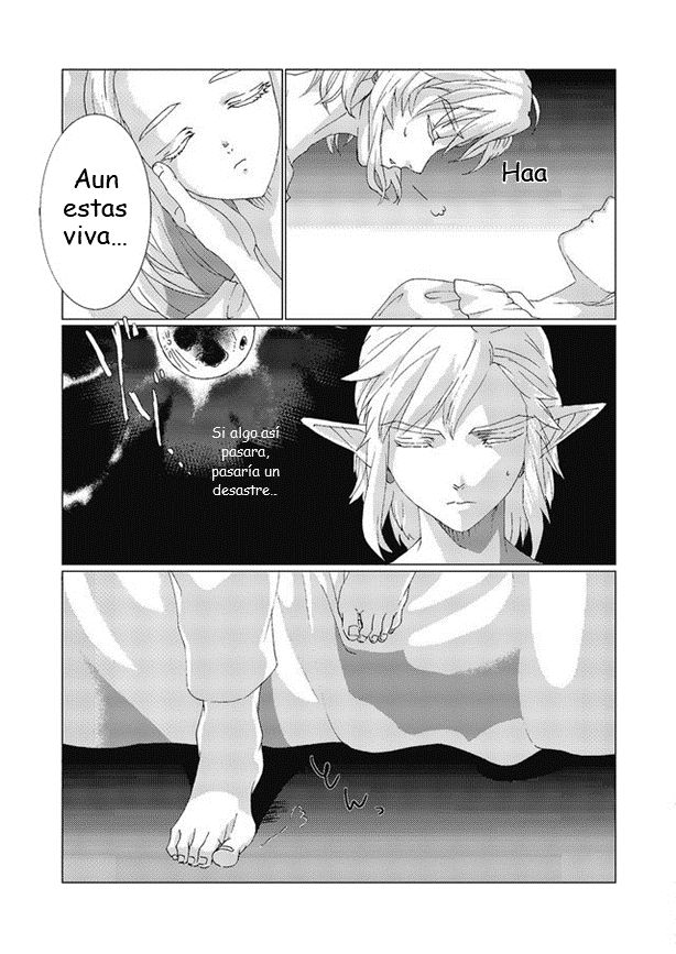 [MYLAB (Shiroa Urang)] Star Aquamarine (The Legend of Zelda) [Spanish] [Digital] 8eme image