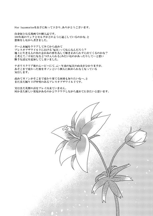 [MYLAB (Shiroa Urang)] Star Aquamarine (The Legend of Zelda) [Spanish] [Digital] 36eme image