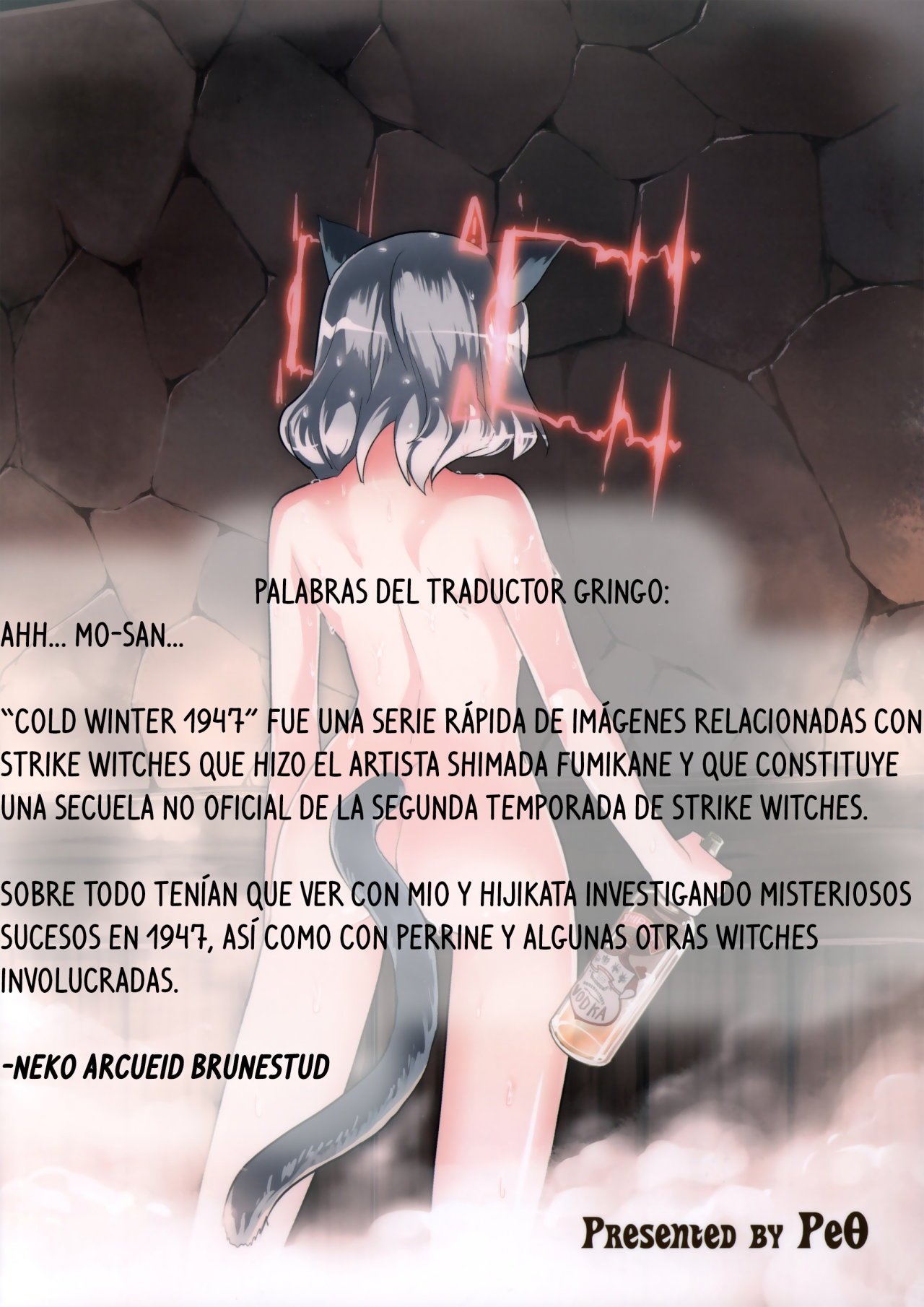 (Mimiket 25) [Peθ (Mozu)] WINTER AFFAIR (Strike Witches)  [Spanish] [WILLIAM & BETA TRANSLATIONS] 图片编号 30