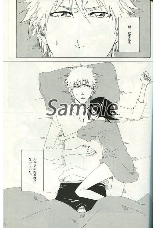 [soul love][Koizumi airi]“Toaru sōchō no jōji”[bleach)sample image number 2