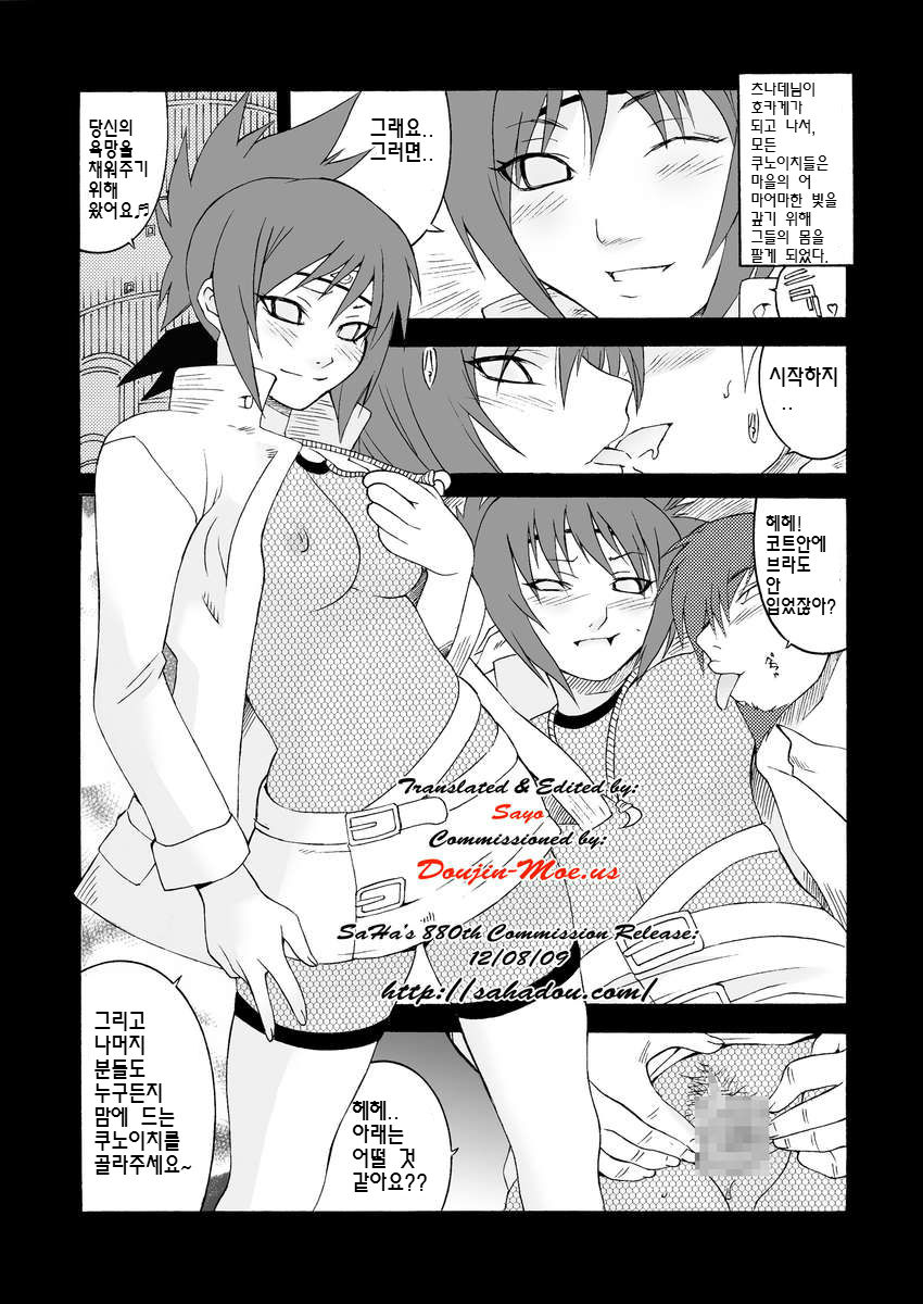 (C67) [MGW (Isou Doubaku)] Q.N.T.3 (Naruto) [Korean] 图片编号 2