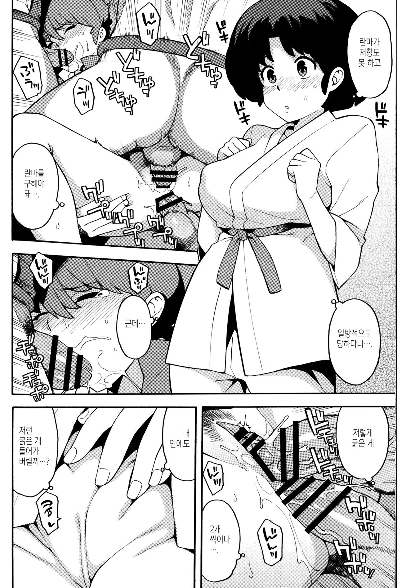 (COMIC1☆11) [SOLID AIR (Zonda)] RAN-MAN | 란마보지 (Ranma 1/2) [Korean] [이거맛좀봐] 图片编号 13