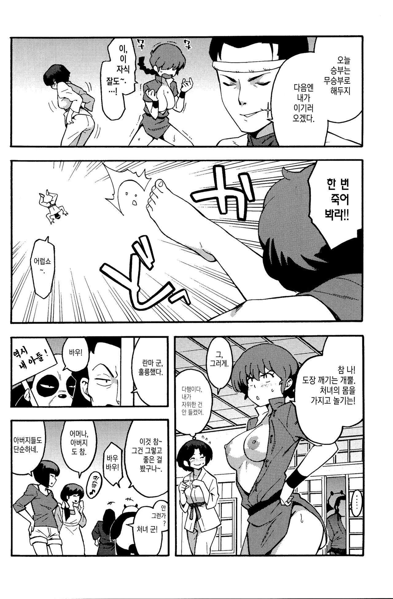 (COMIC1☆11) [SOLID AIR (Zonda)] RAN-MAN | 란마보지 (Ranma 1/2) [Korean] [이거맛좀봐] 图片编号 17