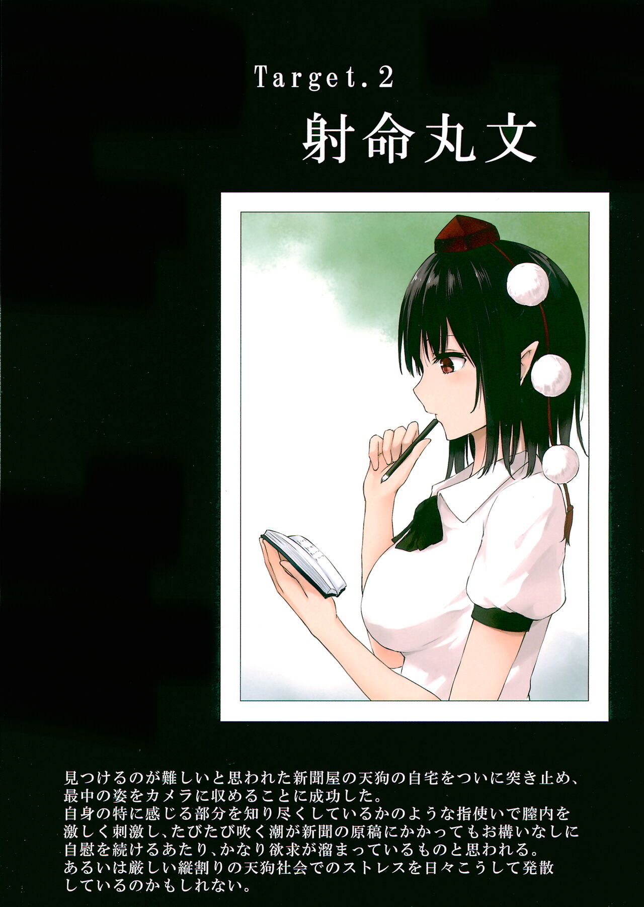 [てち(てこめんち)] 幻撮幻想少女自慰盗撮録 (touhou project) 图片编号 5