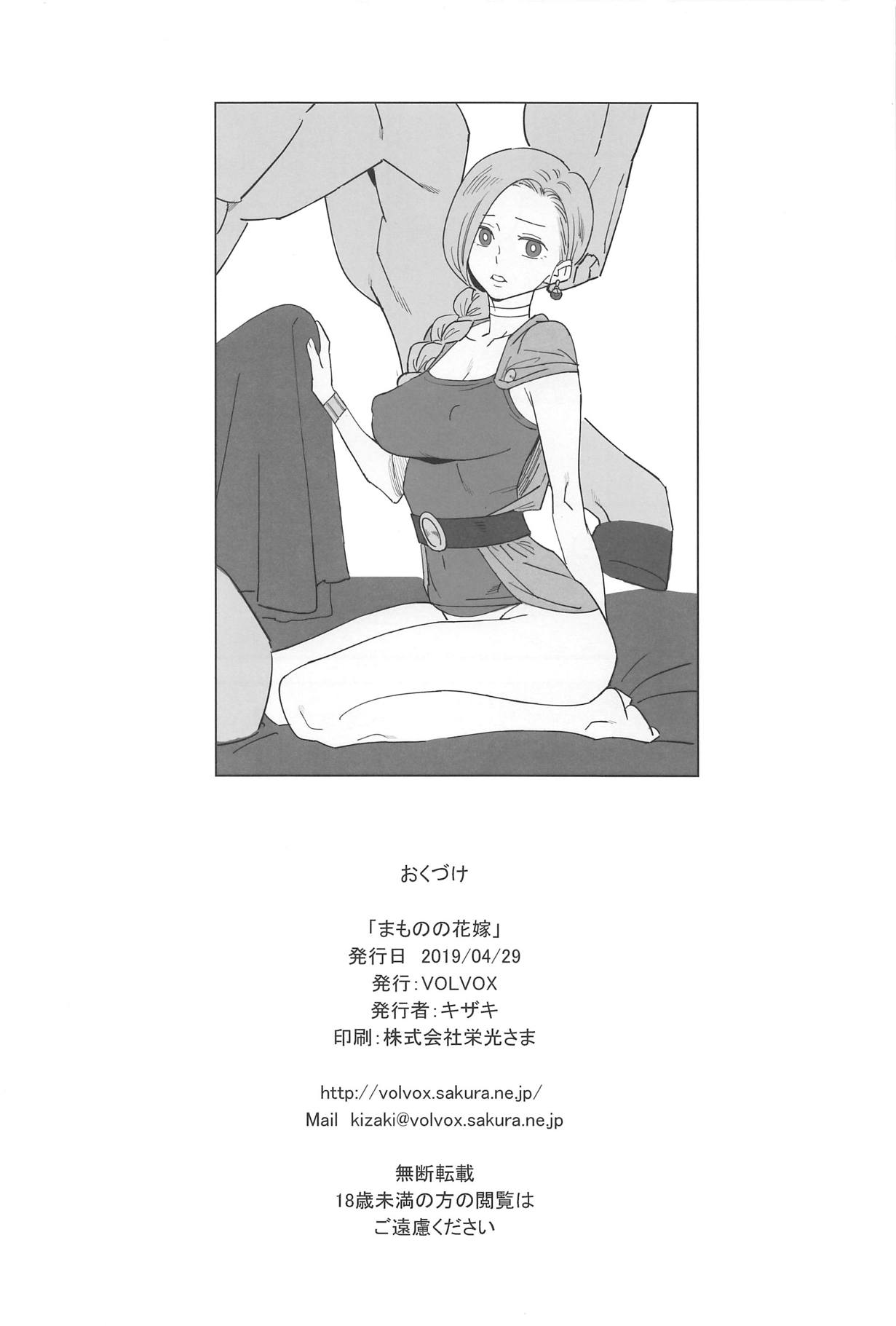 (COMIC1☆15) [VOLVOX (Kizaki)] Mamono no Hanayome - Devil's Bride (Dragon Quest V) 이미지 번호 17