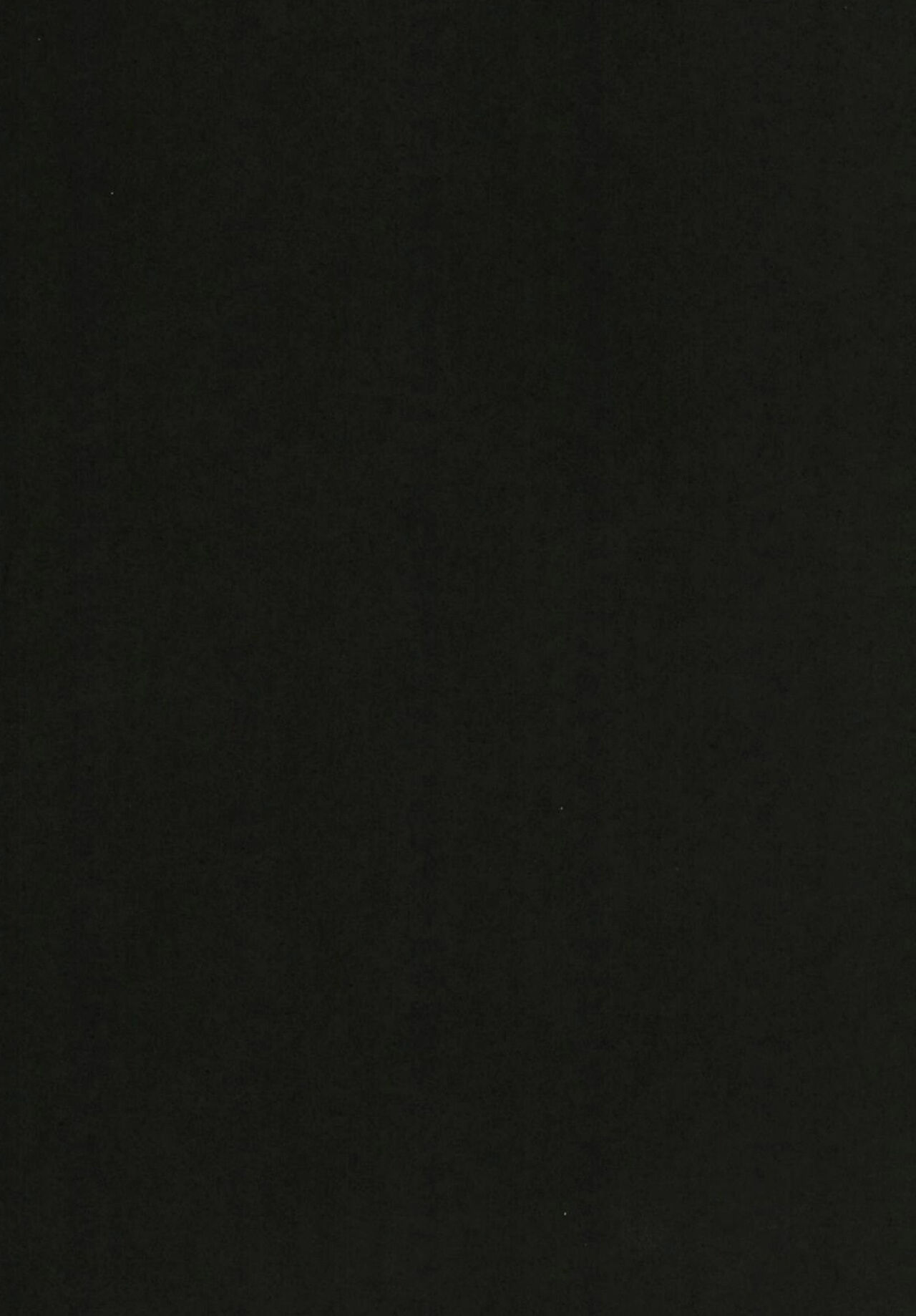 (C97) [Monorabbi (Rabbi)] Haitoku no Hakarigoto (The Legend of Heroes: Sen no Kiseki) [Chinese] Bildnummer 4