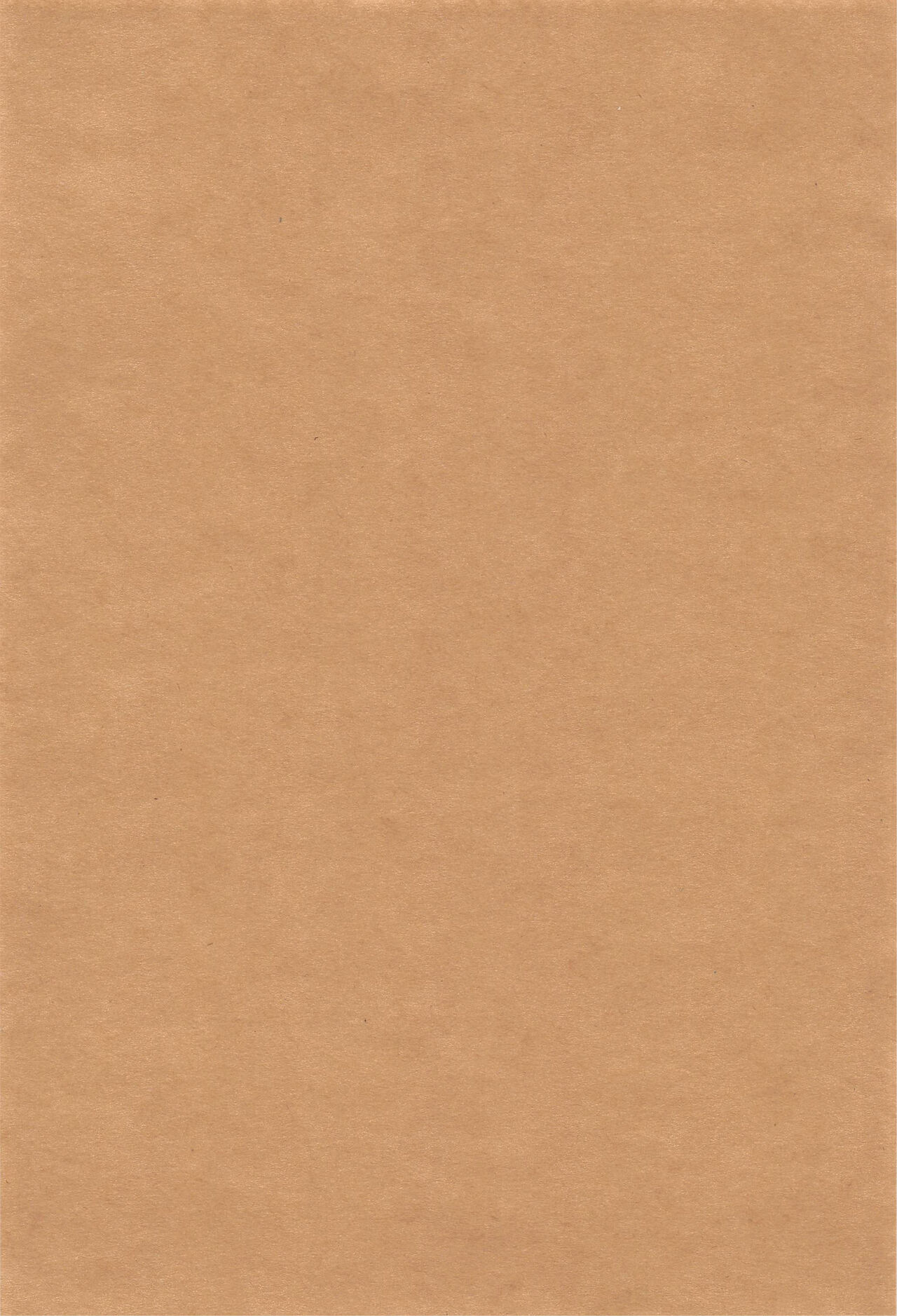 (C99) [Manmanya (Titiduki)] Yamiyo ni Tomoshibi | 给暗夜以灯火 (Fate/Grand Order) [Chinese] [不咕鸟汉化组] 图片编号 3