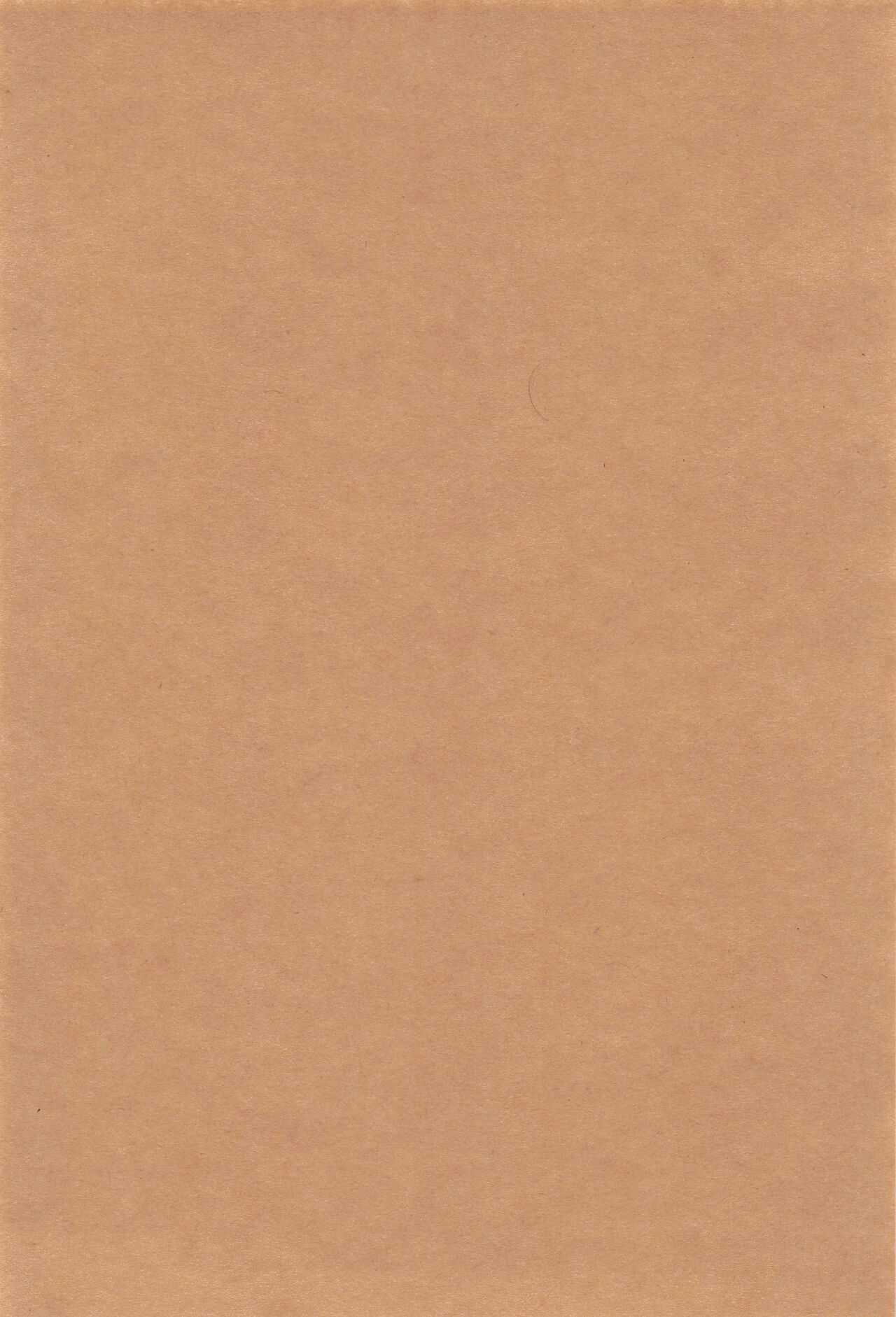 (C99) [Manmanya (Titiduki)] Yamiyo ni Tomoshibi | 给暗夜以灯火 (Fate/Grand Order) [Chinese] [不咕鸟汉化组] 图片编号 36