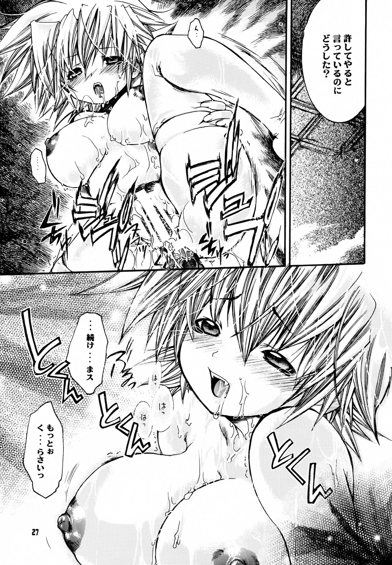 (C63) [Seinansei ni Kagayakeu Hoshi (Morino Papiko)] Shuuen no Nai Yoru o Mukaete. (Hellsing) image number 26