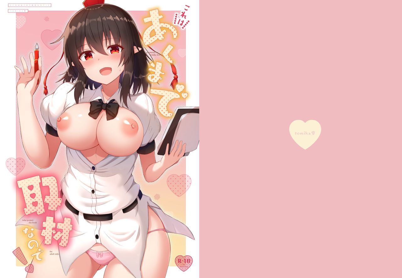 [tomikadou (tksand)] Kore wa Akumade Shuzai nanode! (Touhou Project) [Chinese] [白杨汉化组] [Digital] 이미지 번호 1