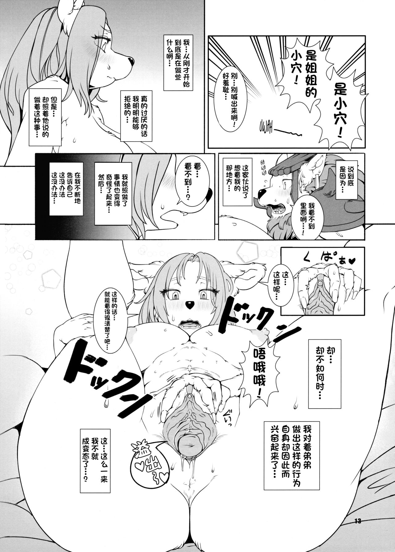 (Fur-st 7) [Kemono Ekaki no Kousoku 2 (Sindoll)] Re: Temptation (Seiken Densetsu Legend of Mana) [Chinese] [单推辛豆x真不可视汉化组] [Decensored] numero di immagine  14