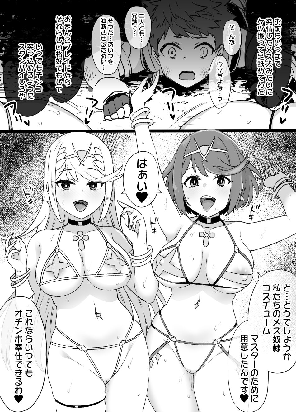 [Kusayarou] Homura & Hikari Sennou NTR Manga 14P (Xenoblade 2) image number 4