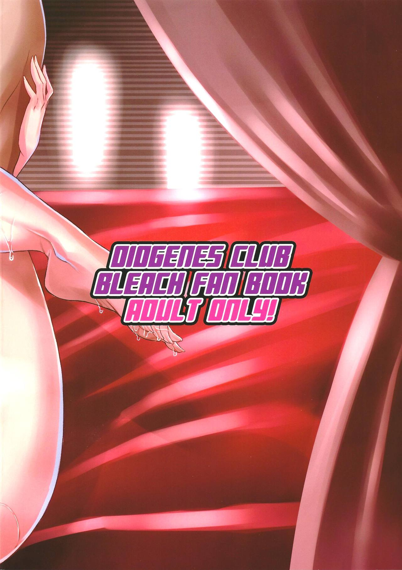 (CT26) [Diogenes Club (Haikawa Hemlen)] BRICOLA 6 (Bleach) [Russian] [Degrad] numero di immagine  18