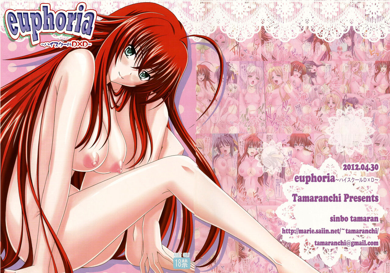 (COMIC1☆6) [Tamaranchi (Sinbo Tamaran)] euphoria ~High School DxD~ (High School DxD) [English] {doujin-moe.us} image number 2