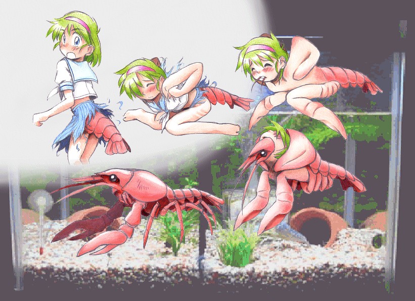 ARTIST qkut  (clean transformation art) Bildnummer 13