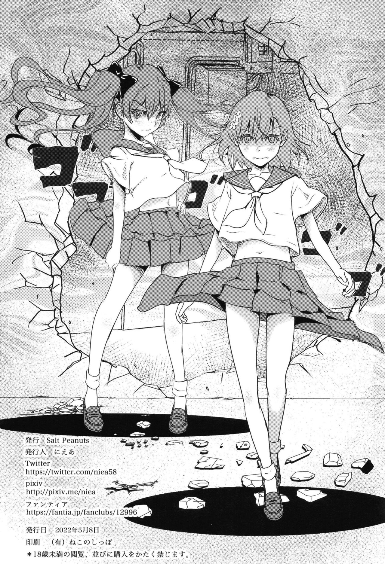 [Salt Peanuts (Niea)] It Hurts Like Hell (Toaru Kagaku no Railgun) [Digital] 이미지 번호 29