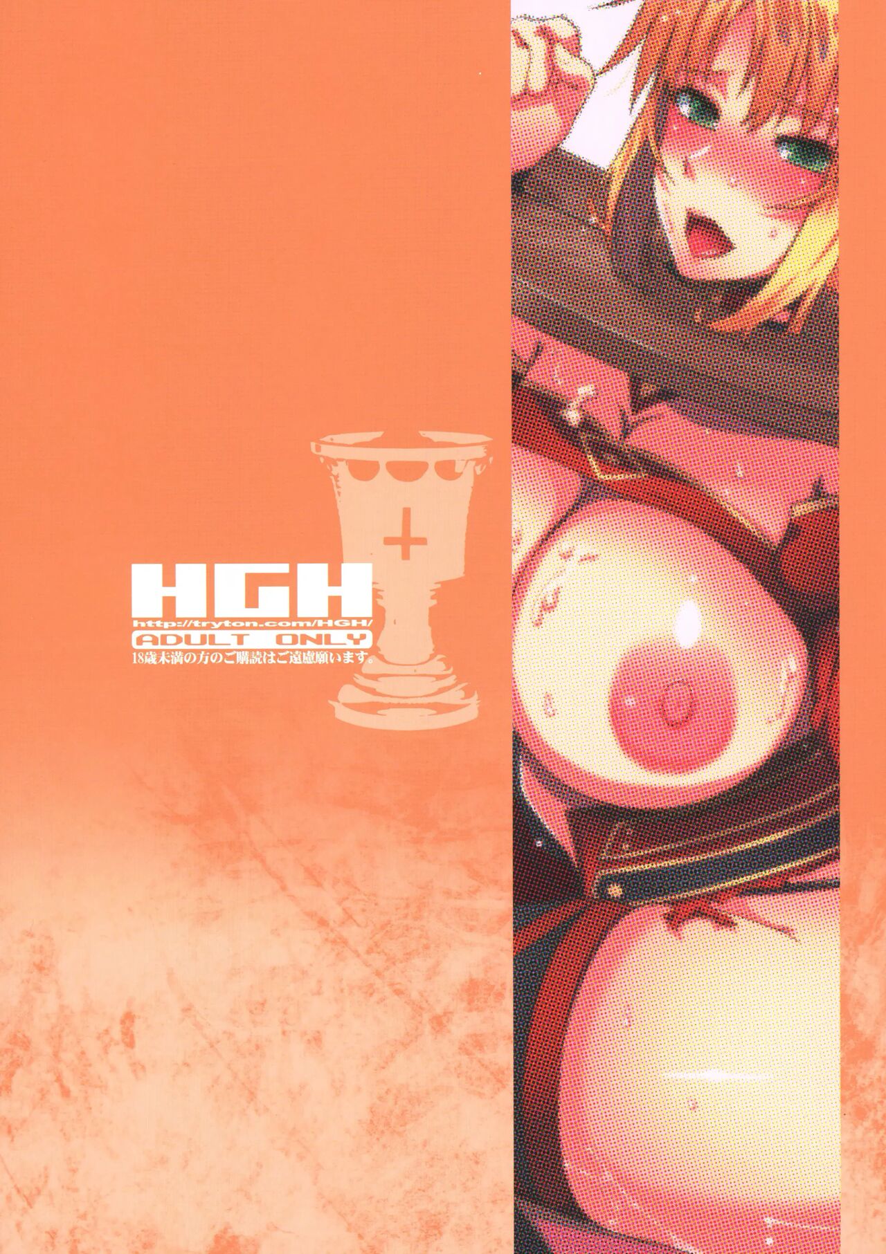 (C91) [HGH (HG Chagawa)] HGUC# 08 ~ Waga uruwashiki Chichi e no ×× ~ (Fate/Grand Order) [Spanish] [Allen Translations] 画像番号 3