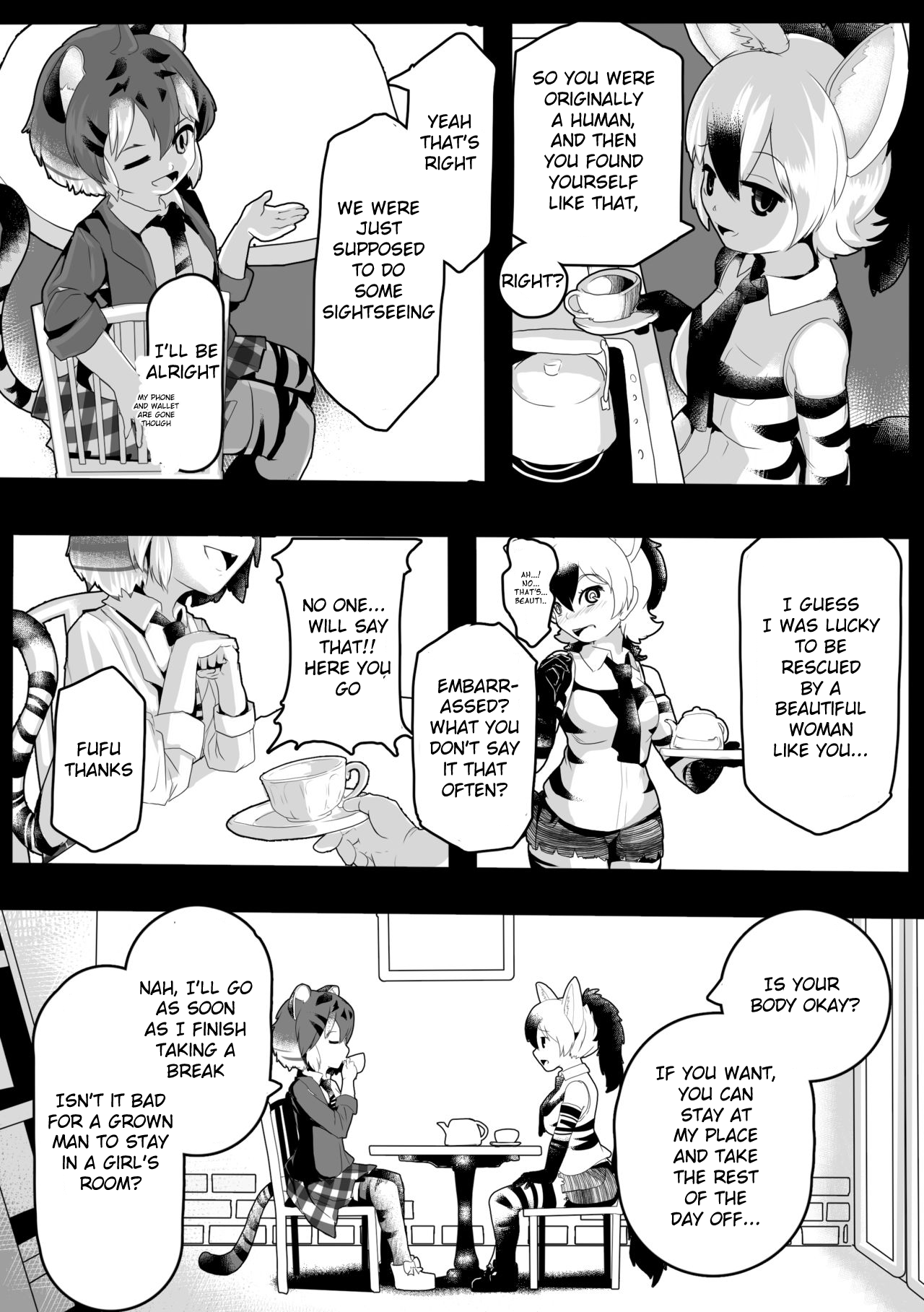 My Maltese image number 2