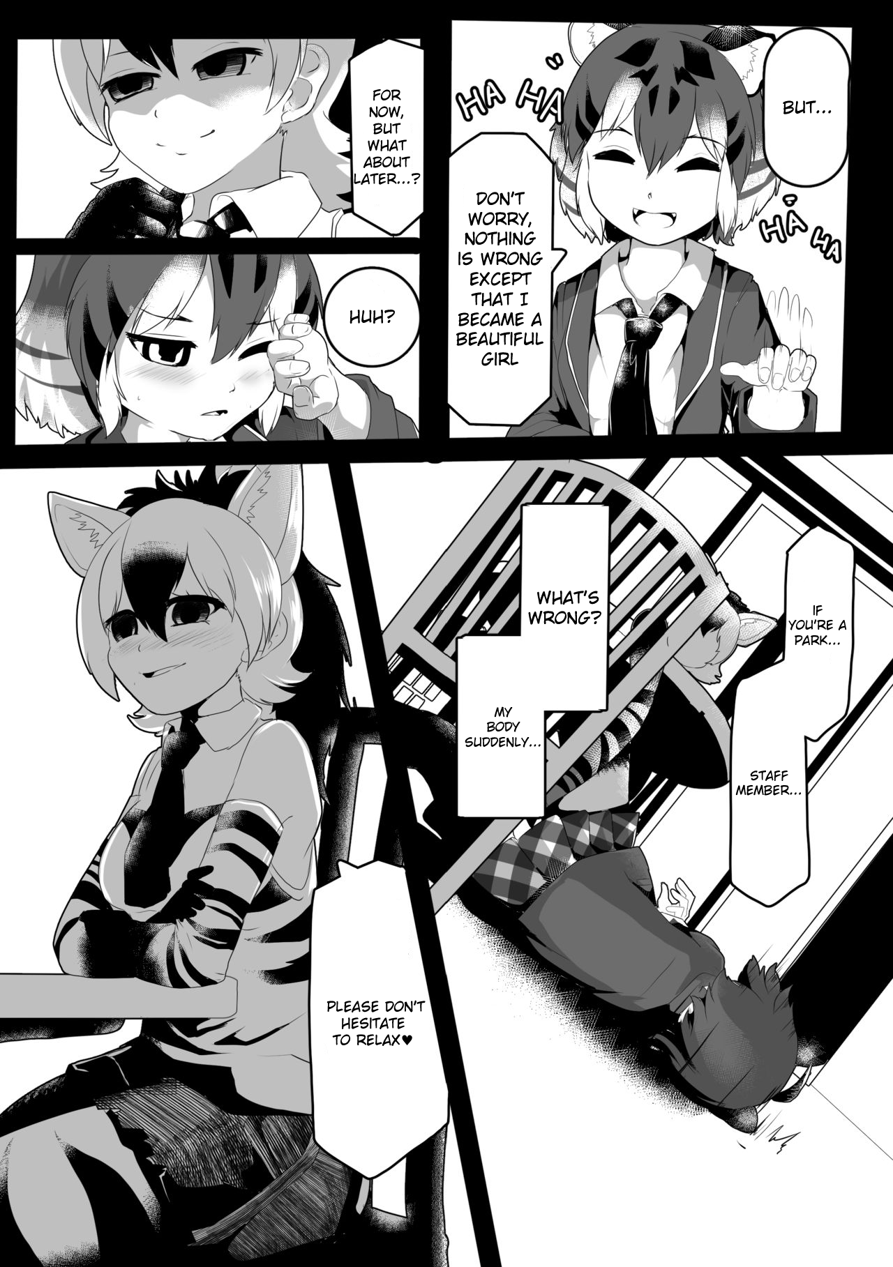 My Maltese image number 3