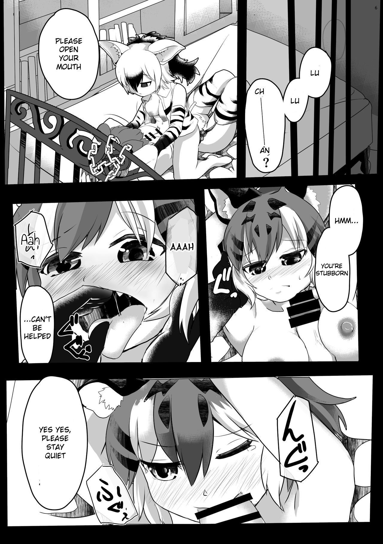 My Maltese image number 8