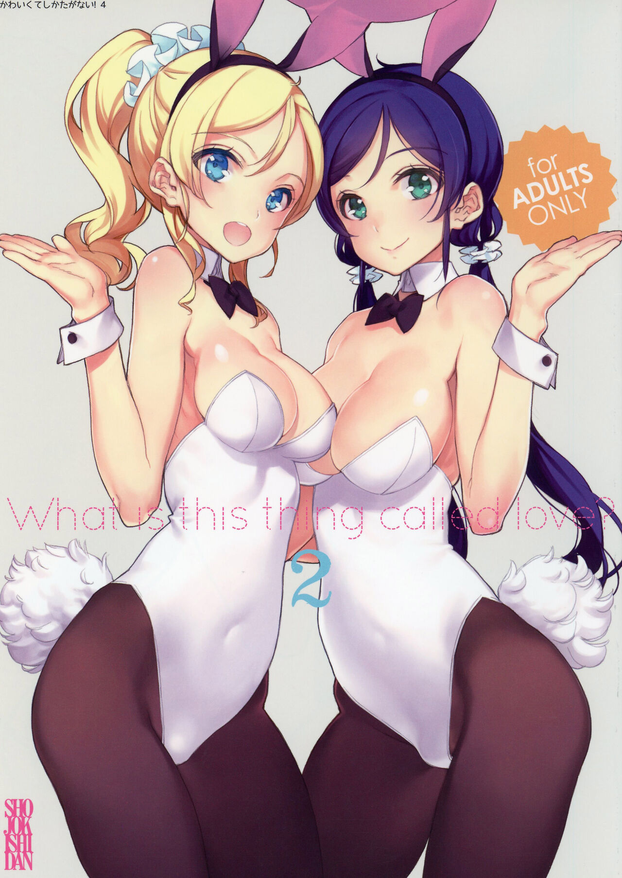 (C86) [Shoujo Kishidan (Oyari Ashito)] What is this thing called love? 2 (Love Live!) image number 1