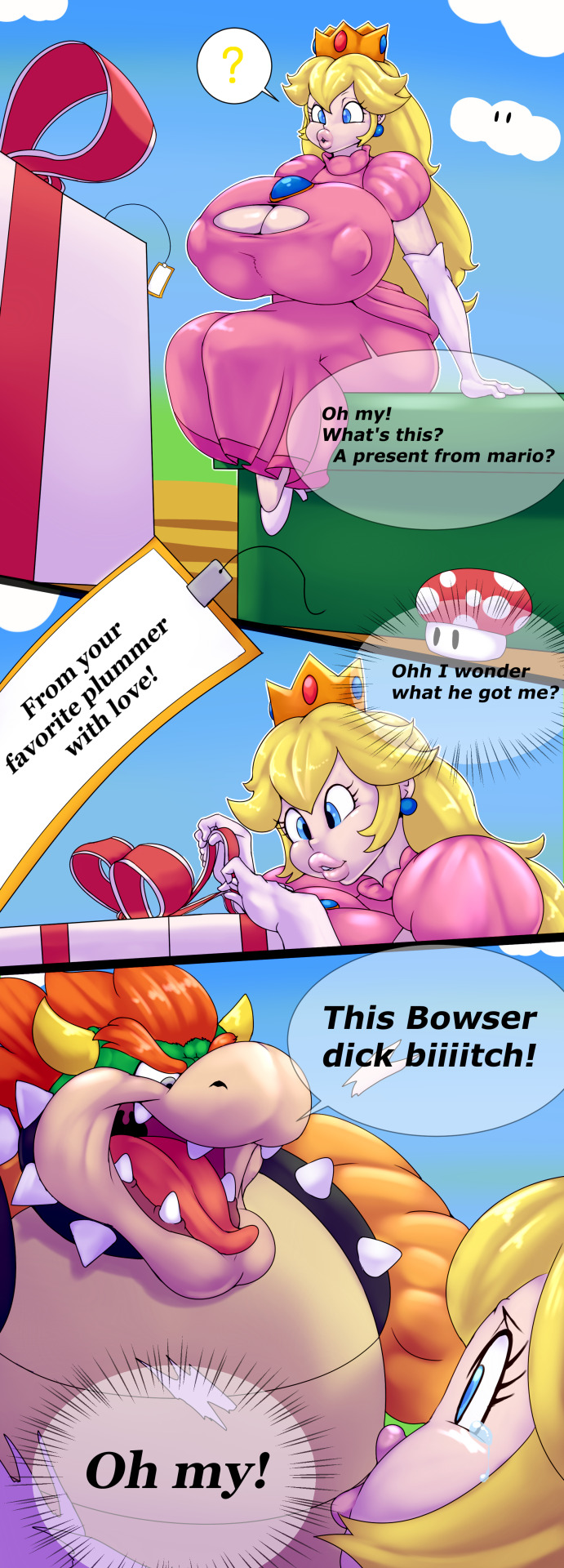 [Ber00] The Gift (Super Mario Bros) image number 1