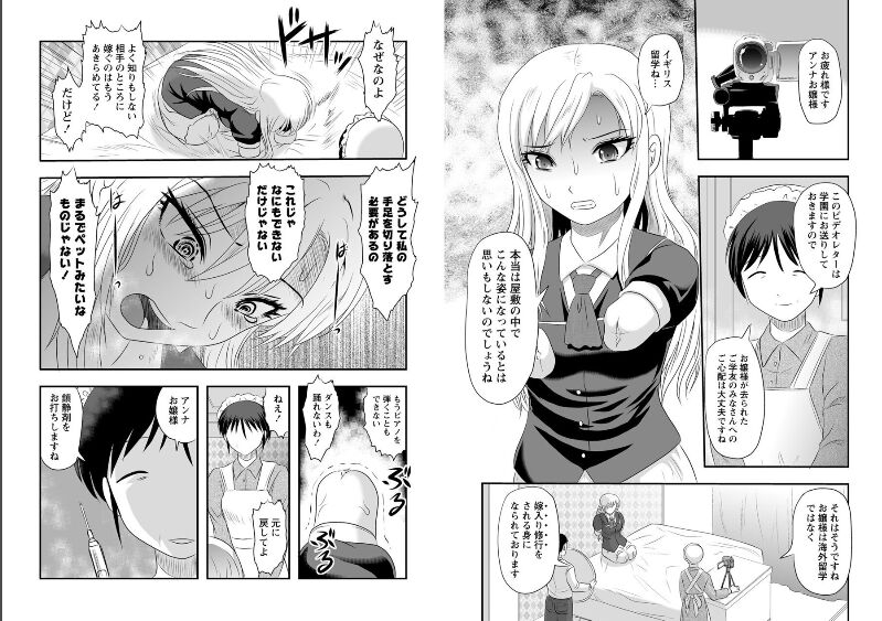 Study abroad inLady Anna's mansion image number 3