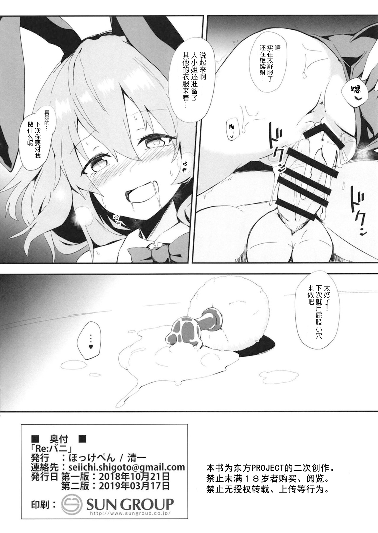 (Meikasai 13) [Hokkepen (Seiichi)] Re:Bunny (Touhou Project) [Chinese] [白杨汉化组] 图片编号 9