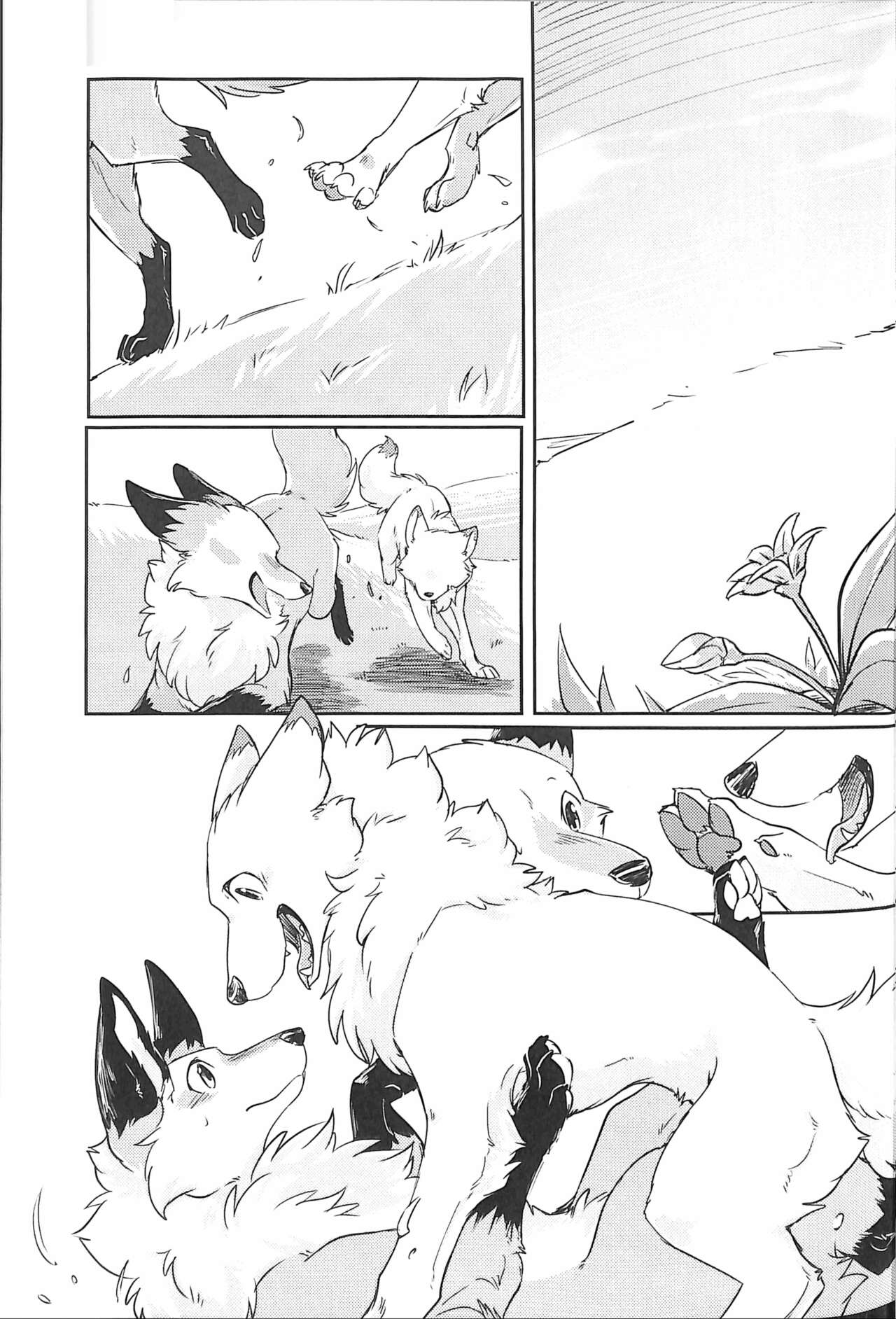 (Kansai! Kemoket 5) [D-Point! (Diga Tsukune)] Yume Utsutsu Lovage [English] [cophase] [Decensored] 图片编号 4