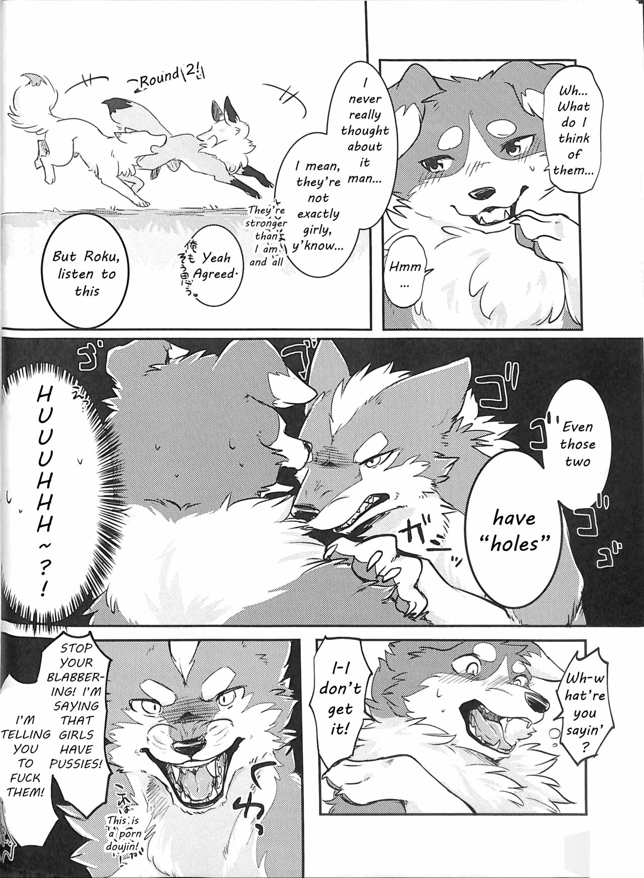 (Kansai! Kemoket 5) [D-Point! (Diga Tsukune)] Yume Utsutsu Lovage [English] [cophase] [Decensored] 图片编号 7