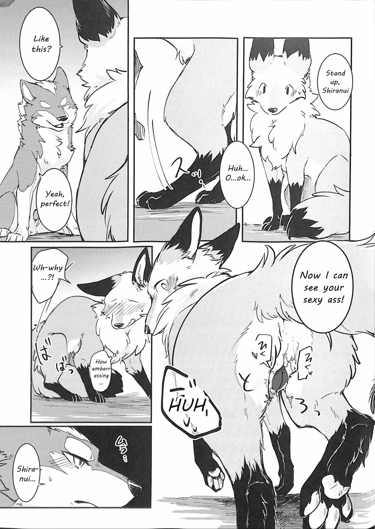 (Kansai! Kemoket 5) [D-Point! (Diga Tsukune)] Yume Utsutsu Lovage [English] [cophase] [Decensored] 图片编号 16