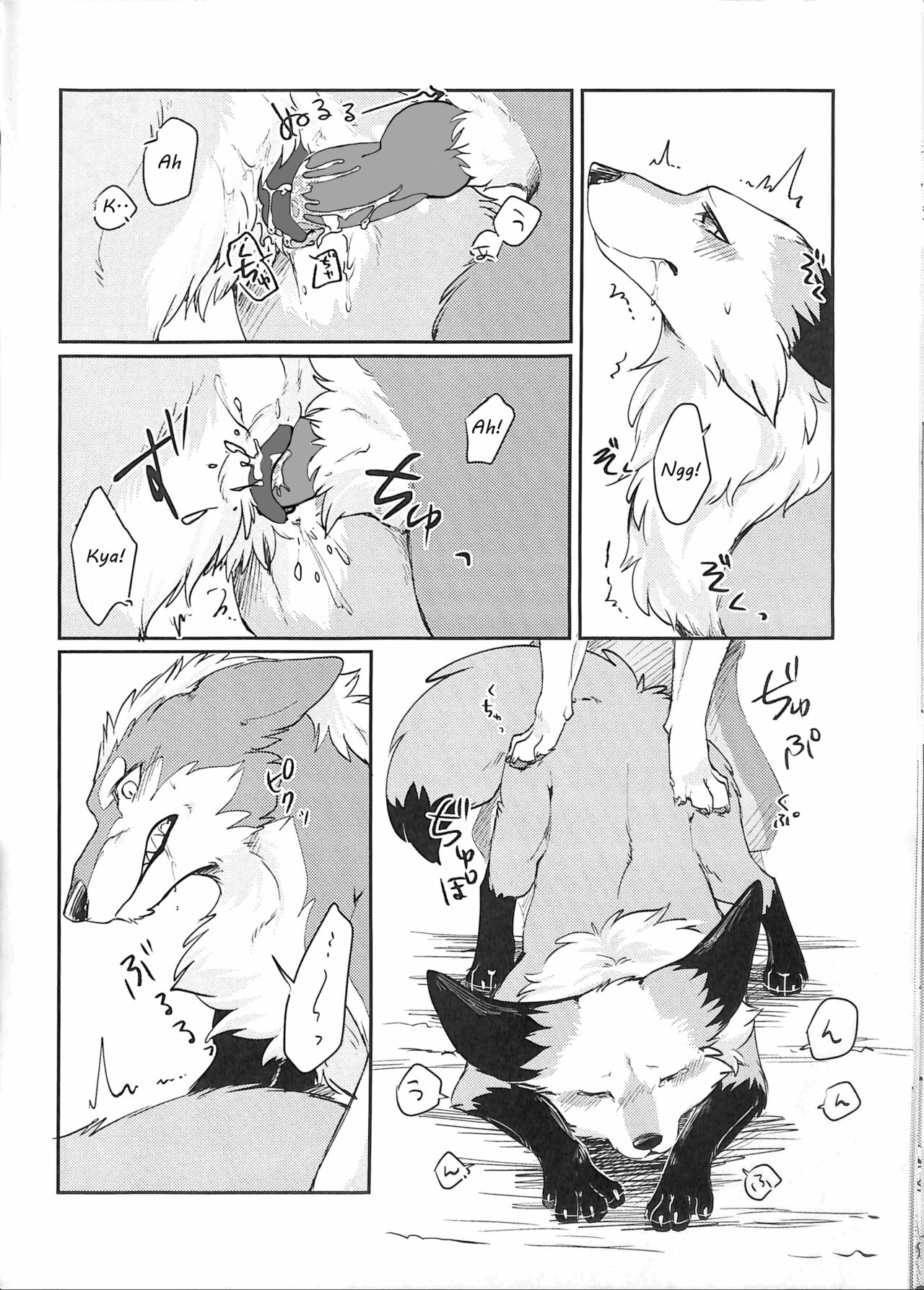 (Kansai! Kemoket 5) [D-Point! (Diga Tsukune)] Yume Utsutsu Lovage [English] [cophase] [Decensored] 图片编号 21