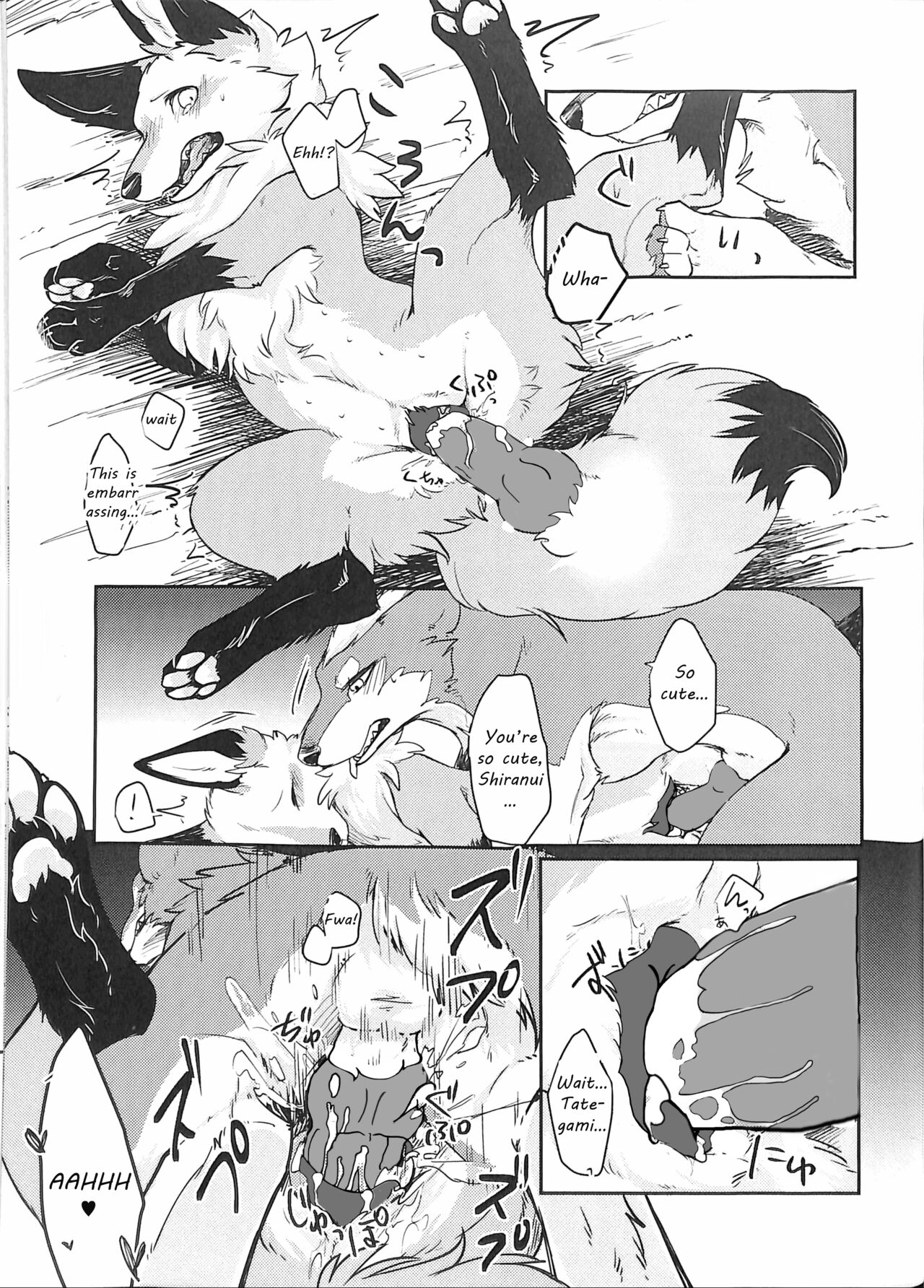 (Kansai! Kemoket 5) [D-Point! (Diga Tsukune)] Yume Utsutsu Lovage [English] [cophase] [Decensored] 图片编号 22