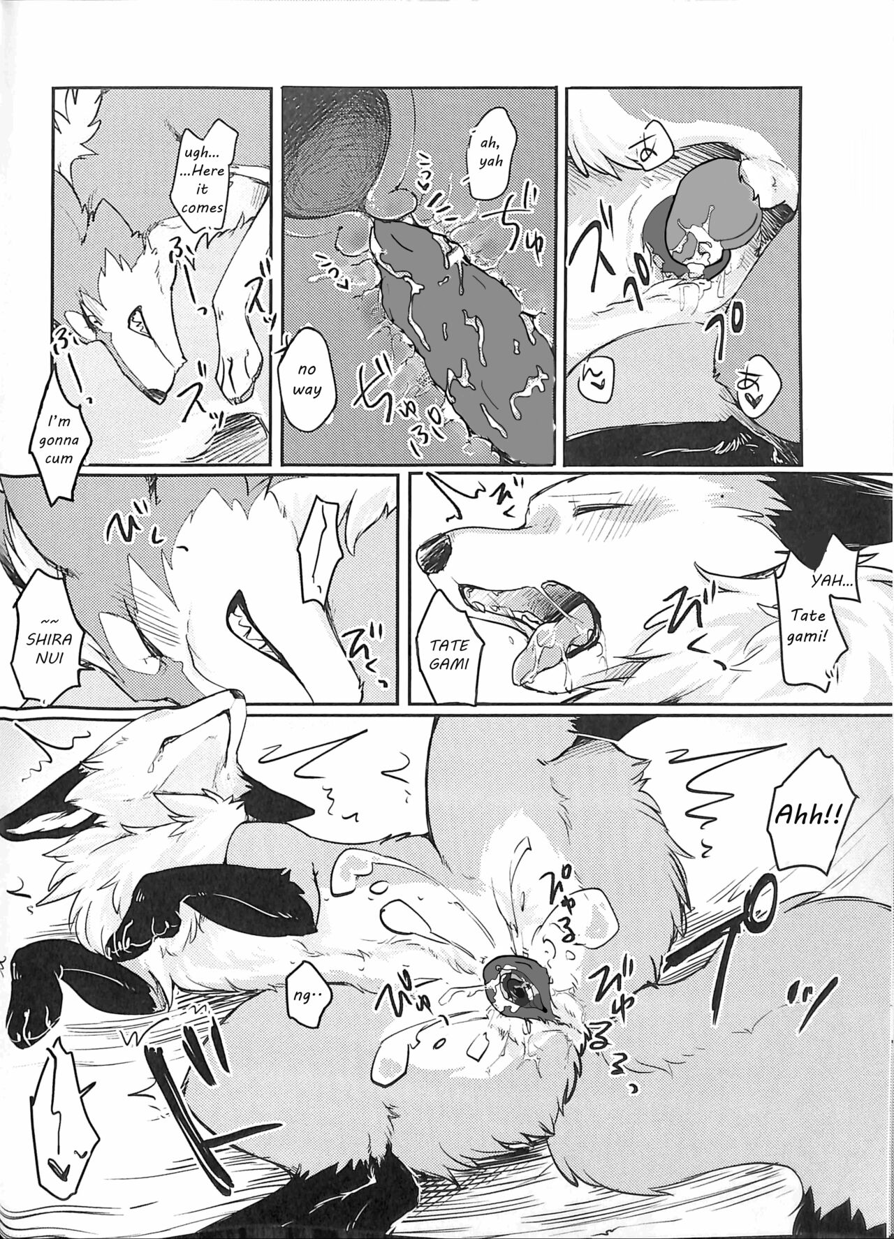 (Kansai! Kemoket 5) [D-Point! (Diga Tsukune)] Yume Utsutsu Lovage [English] [cophase] [Decensored] 图片编号 23