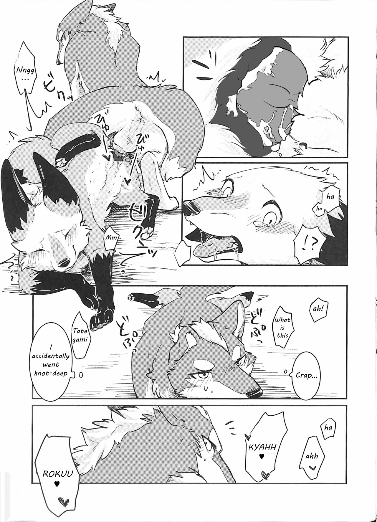 (Kansai! Kemoket 5) [D-Point! (Diga Tsukune)] Yume Utsutsu Lovage [English] [cophase] [Decensored] 图片编号 24