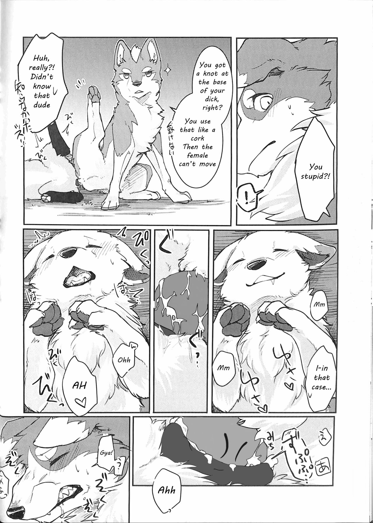 (Kansai! Kemoket 5) [D-Point! (Diga Tsukune)] Yume Utsutsu Lovage [English] [cophase] [Decensored] 图片编号 27