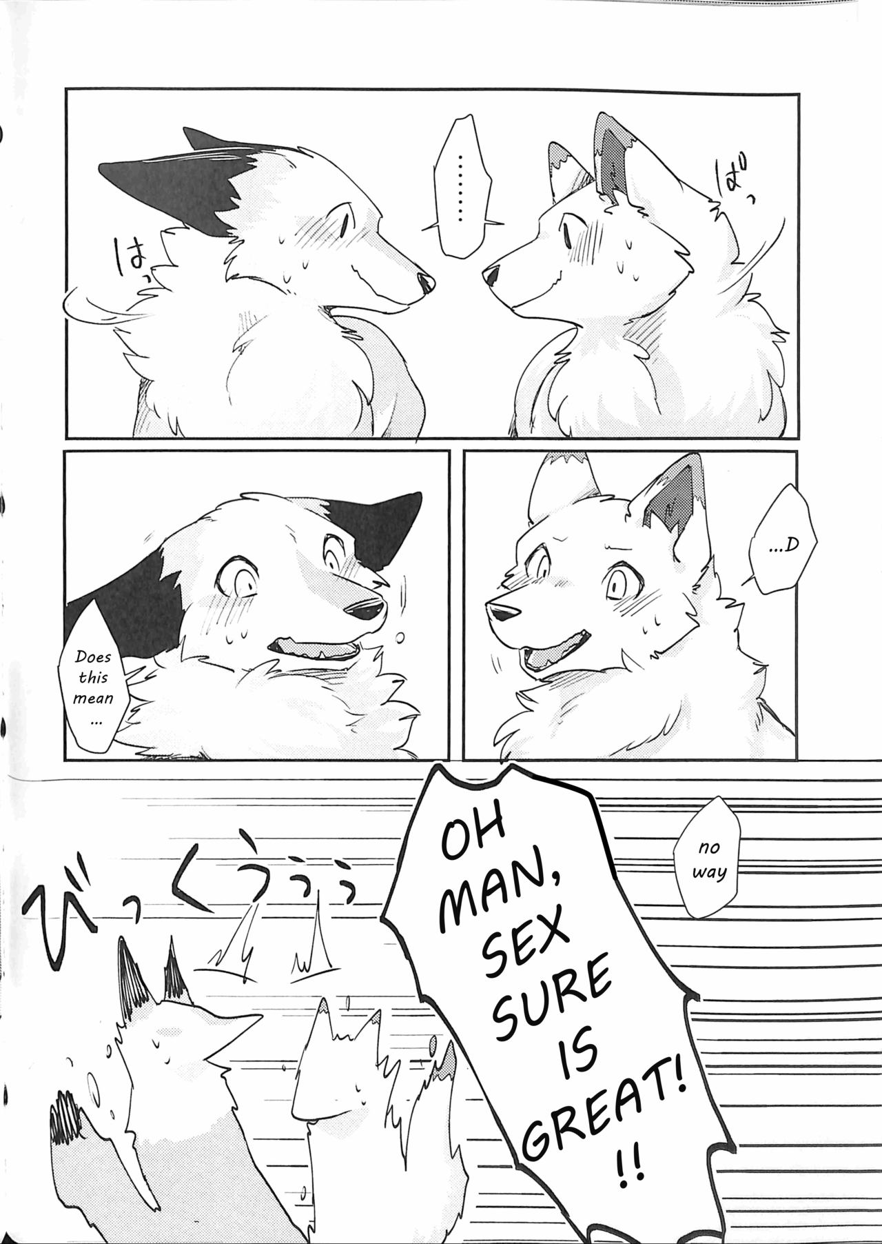 (Kansai! Kemoket 5) [D-Point! (Diga Tsukune)] Yume Utsutsu Lovage [English] [cophase] [Decensored] 图片编号 33