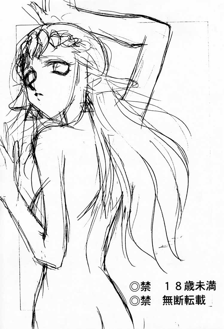 (C56)ZELDA_SHIN 图片编号 2