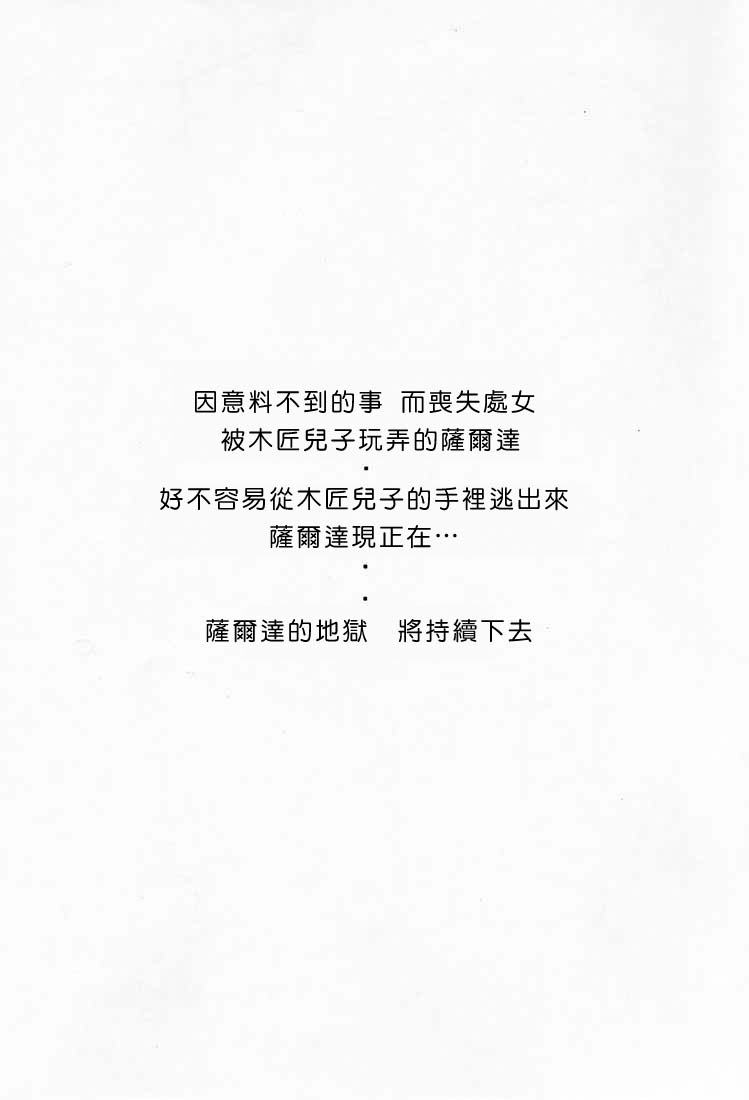 (C56)ZELDA_SHIN 图片编号 3