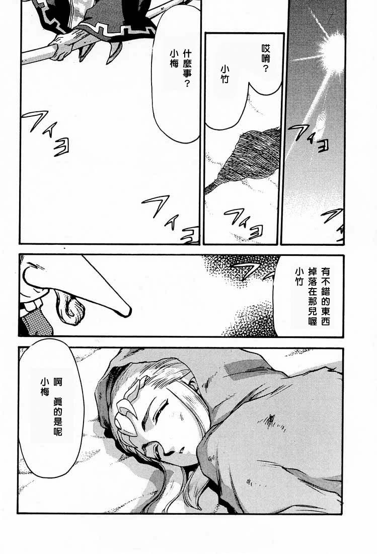 (C56)ZELDA_SHIN 图片编号 5