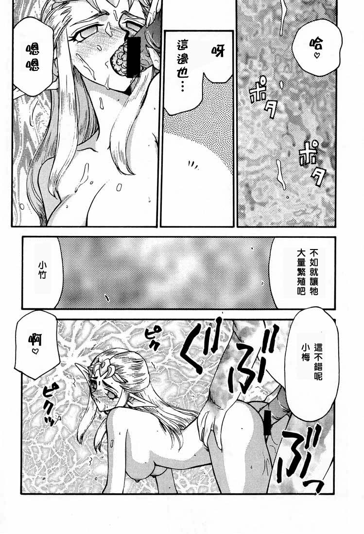 (C56)ZELDA_SHIN 图片编号 24