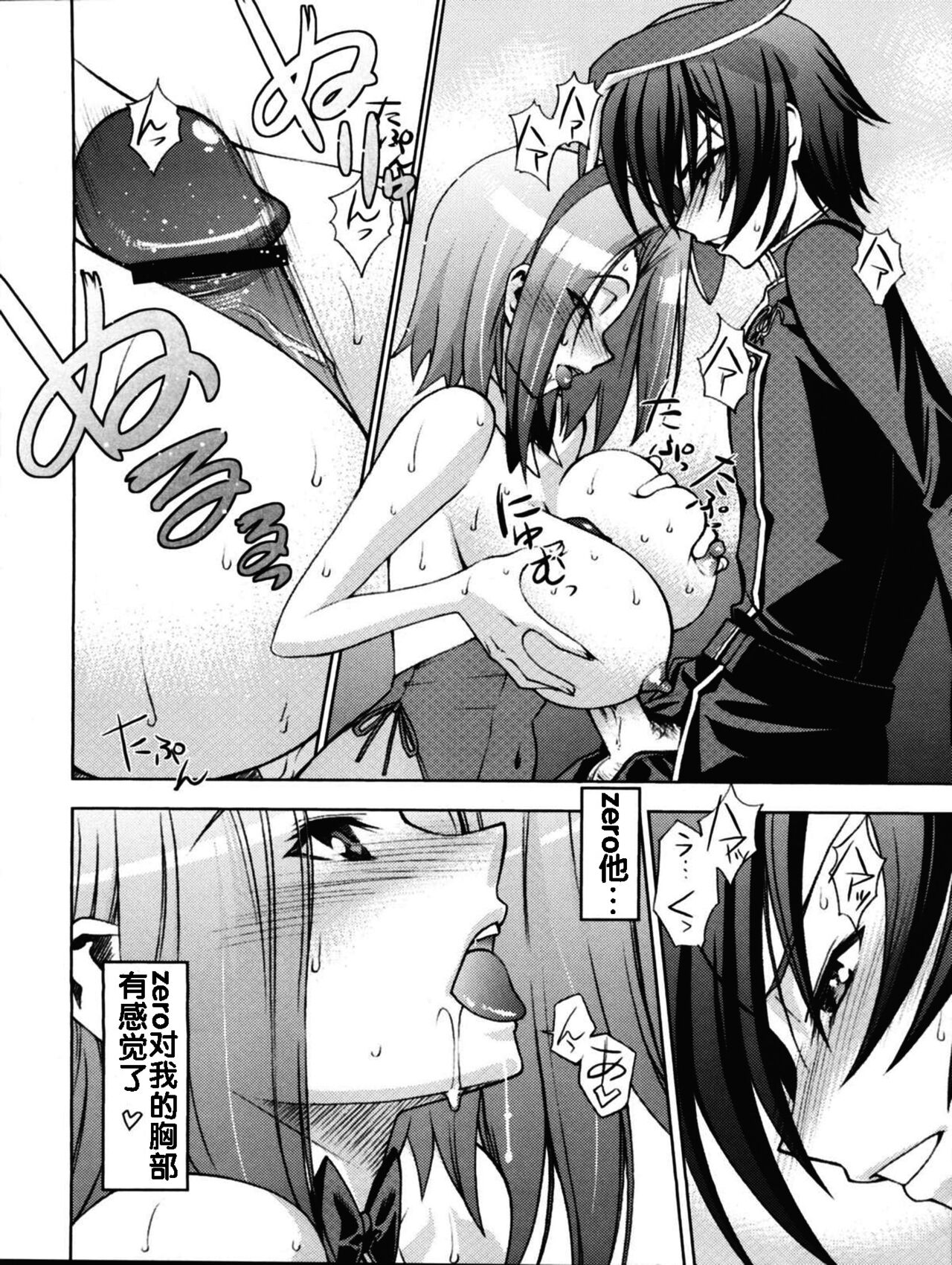 [さなづら同人誌発行所 (さなづらひろゆき)] ゼロのモノ code1 [流木个人汉化] image number 11