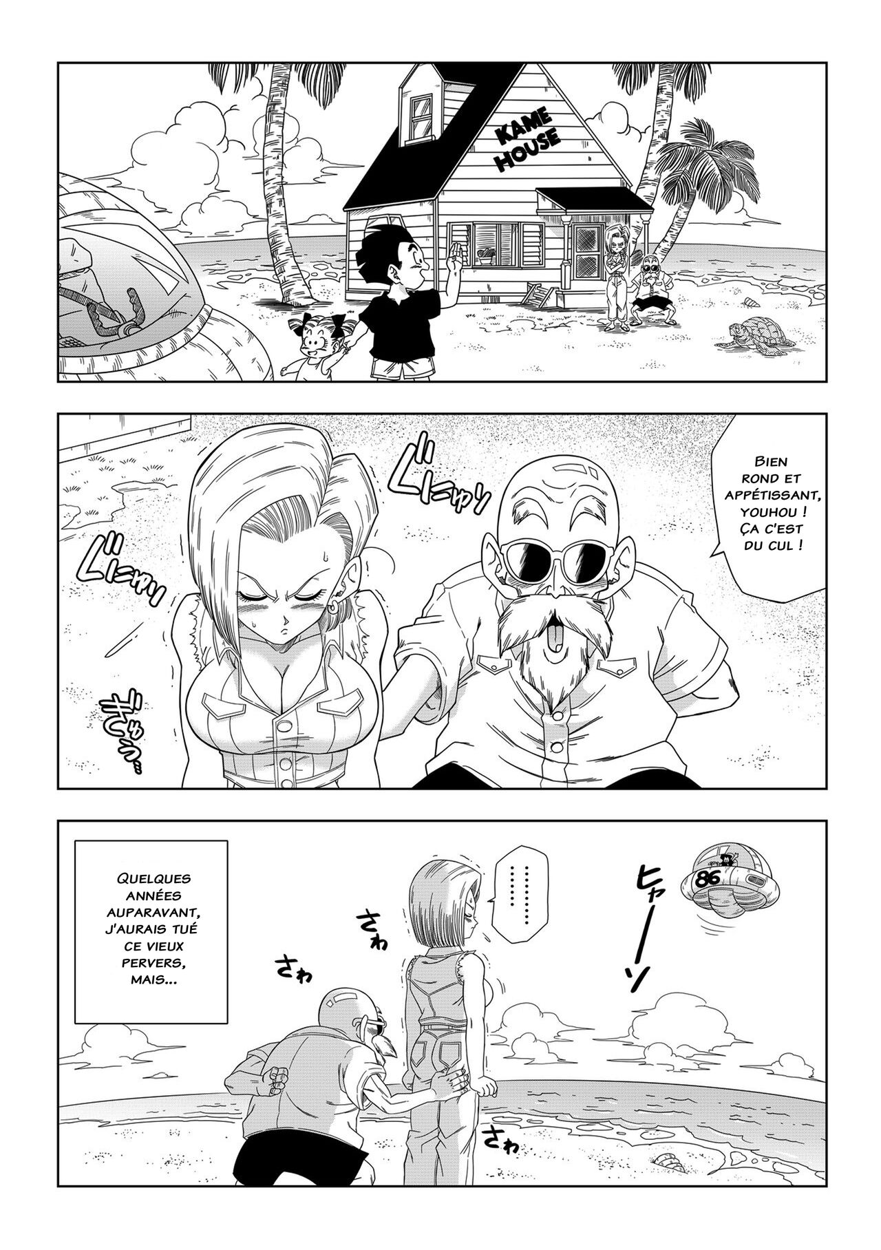 yamamoto - C18 VS Kamesenin - Français 图片编号 2