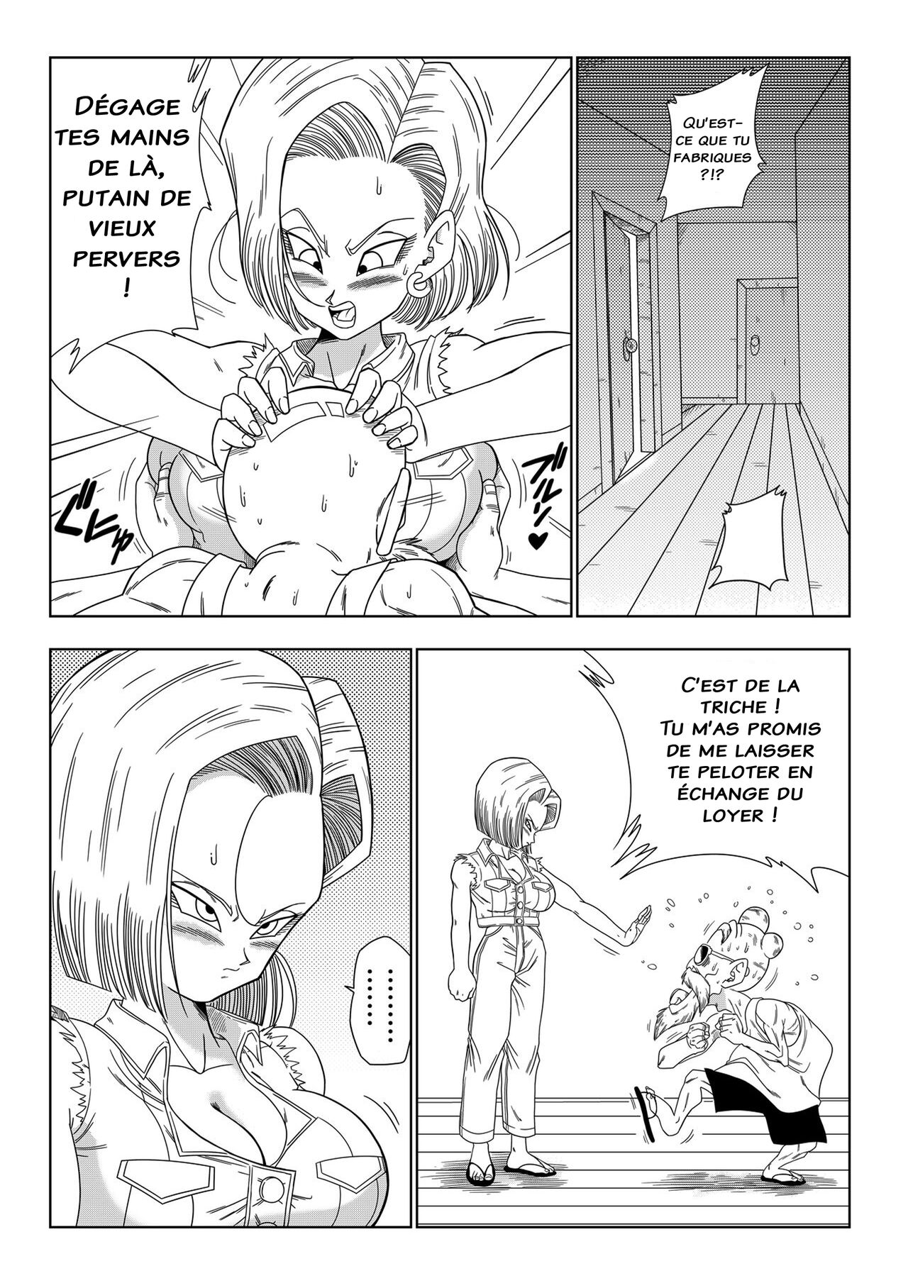 yamamoto - C18 VS Kamesenin - Français 图片编号 5