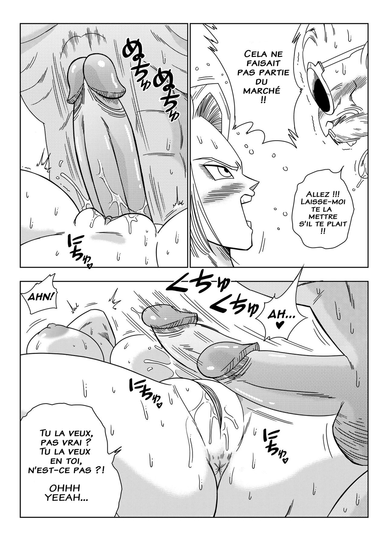 yamamoto - C18 VS Kamesenin - Français 图片编号 13